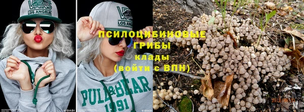 трава Каменногорск