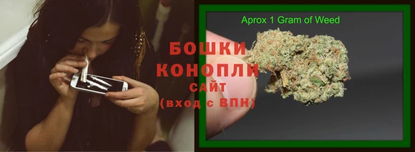 Альфа ПВП Касимов