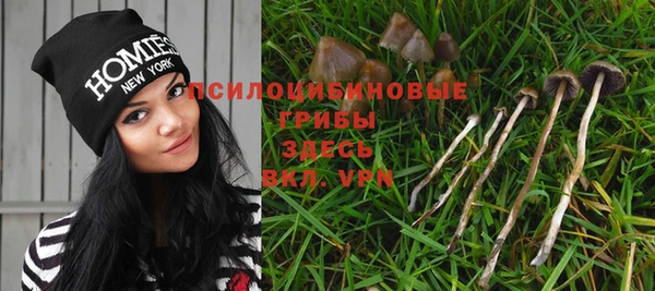 дмт Карпинск