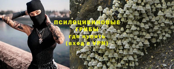 твердый Каменка
