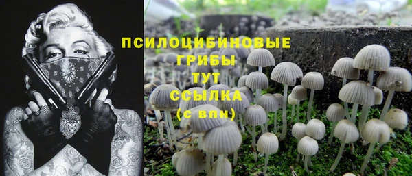 Альфа ПВП Касимов