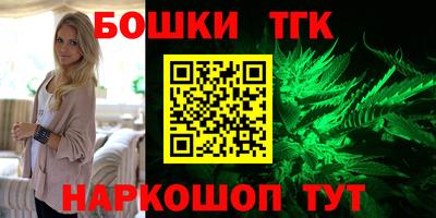 СК Новозыбков