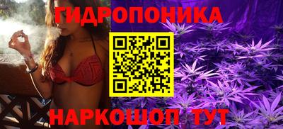 гидропоника Новодвинск
