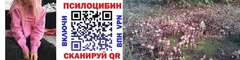 Псилоцибиновые грибы GOLDEN TEACHER  omg сайт  Оренбург 